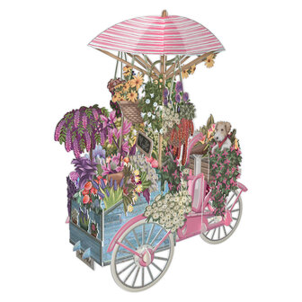 3D009 - Flower Seller&#039;s Bycycle Pink