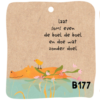 B177-040 - aanhangsels de boel de boel