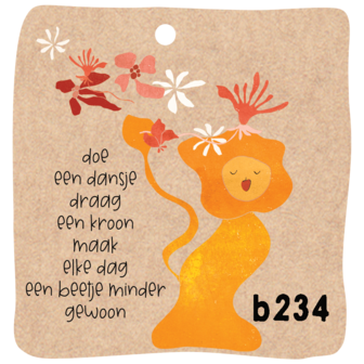 B234-040 - aanhangsels minder gewoon