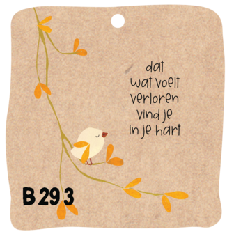 B293-040 - aanhangsels verloren