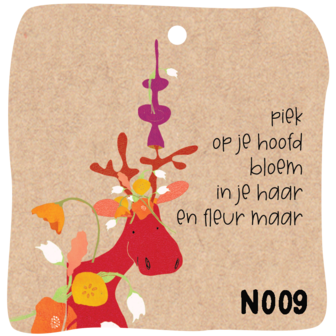 N009-040 - aanhangsels piek