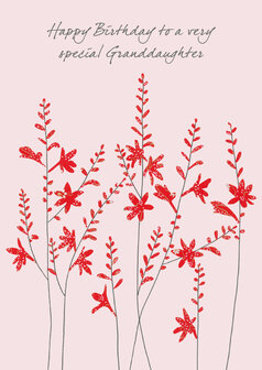 EH268 - Crocosmia flowers - Granddaughter birthday