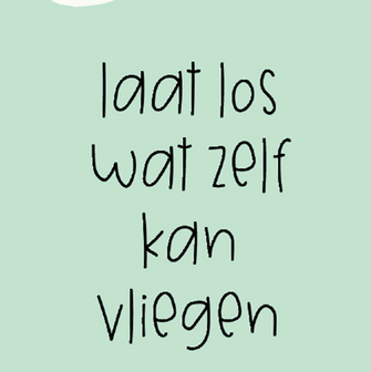 B298-220 - boekenlegger laat los